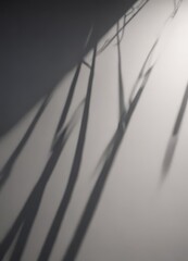 Subtle shadow cast across intersecting lines; clean, elegant depth , overlay, perspective