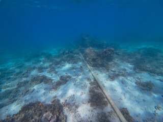 Underwater pipe through coral reef in Fiji 