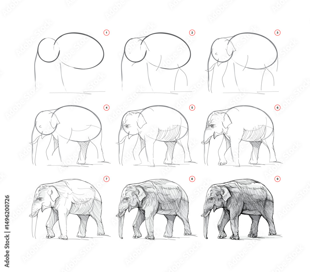 Wall mural page shows how to learn to draw from life sketch of the asian elephant. pencil drawing lessons. educ