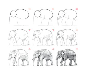 Page shows how to learn to draw from life sketch of the Asian elephant. Pencil drawing lessons. Educational page for artists. Textbook for developing artistic skills. Hand drawn vector illustration.