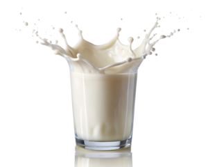pouring milk into glass isolated on white background. PNG Transparent file type with high definition quality And vibrant color grading Available.