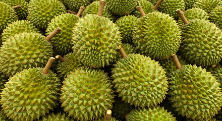 Durian, Durians, Fruit, Fresh Durian Fruits at Market