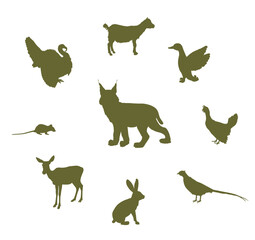 Cunning hungry lynx lurks prey vector silhouette isolated. Wild cat animal predator. Bobcat hunting prey farm poultry danger. Rabbit, rat, pheasant, grouse, fawn, duck, turkey, goatling, deer, goat.