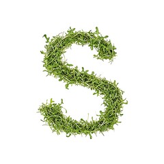 alphabet S made from grass isolated on white background, letter S