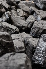 Black coal for fossil energy