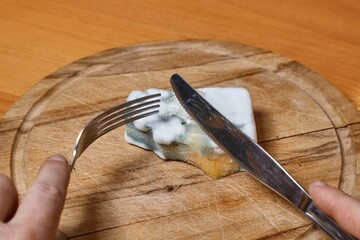 Piece old chees rotten with mold