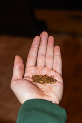 hand holding a stone