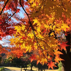 Vibrant autumn leaves in a park setting.