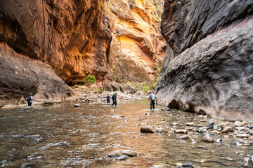 The Narrows Hike in Zion National Park, Utah, National Park Hikes in the US, Iconic Hikes, Canyon Walls, River Hikes