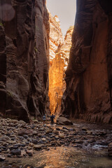 The Narrows Hike in Zion National Park, Utah, National Park Hikes in the US, Iconic Hikes, Canyon Walls, River Hikes