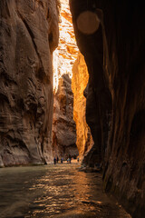 The Narrows Hike in Zion National Park, Utah, National Park Hikes in the US, Iconic Hikes, Canyon Walls, River Hikes