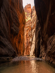 The Narrows Hike in Zion National Park, Utah, National Park Hikes in the US, Iconic Hikes, Canyon Walls, River Hikes