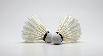 Badminton shuttlecocks isolated on white, clean and detailed, perfect for indoor sports stock photos.