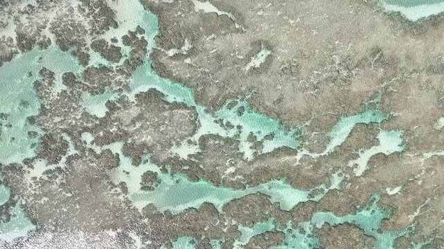 Japaratinga, Maragogi, Patacho, S&atilde;o Miguel dos Milagres, Alagoas