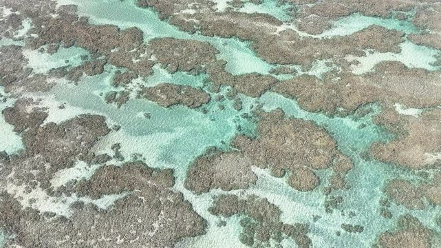 Japaratinga, Maragogi, Patacho, S&atilde;o Miguel dos Milagres, Alagoas