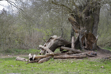 erlebnislandschaft erdekaut