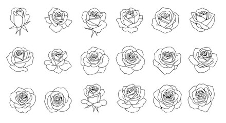 Line Art Roses: Elegant line art illustrations of roses in various stages of bloom, perfect for designs. 