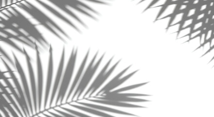 A minimalist background with distinct shadows of palm fronds cast across a neutral surface. Ideal for tropical themes, serene concepts, or as an airy design element.