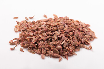 ［野菜の種］人参　品種：子安三寸