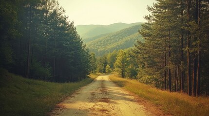 Obraz premium Forest Road Through Green Trees and Distant Mountains