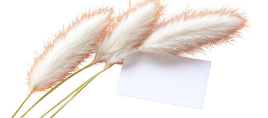 Delicate Pampas Grass Arrangement