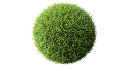  Beautiful grass sphere isolated on a transparent background, PNG image.