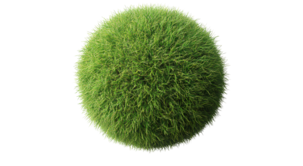  Beautiful grass sphere isolated on a transparent background, PNG image.