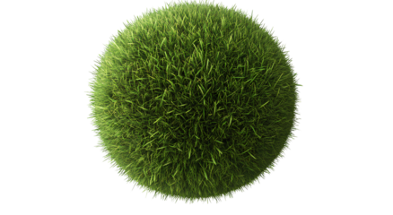 Beautiful grass sphere isolated on a transparent background, PNG image.