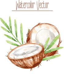 Watercolor coconut with tropical leaves, suitable for menu, recipe design, printing.	