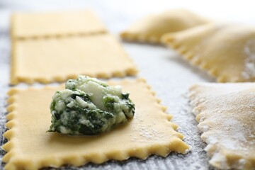Making ravioli with cottage cheese and spinach at wooden table, closeup