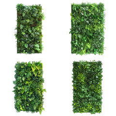 Four rectangular green plant wall panels