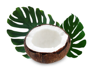 Fresh coconut and green tropical monstera leaves isolated on white