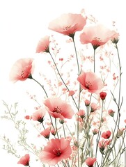 Delicate blush pink poppies and wildflowers arranged in a soft watercolor style floral bouquet against a white background.