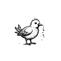 Stylized chick illustration in black and white with water droplets falling
