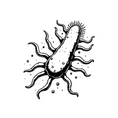 Monochrome illustration of a pathogenic bacterium with appendages and details