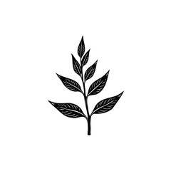 Elegant botanical illustration of stylized leaves against a clean white background