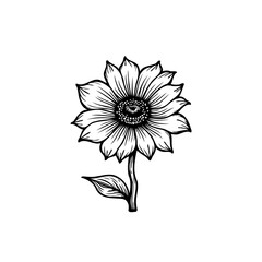 Elegant sunflower botanical illustration artwork in black and white minimalistic design