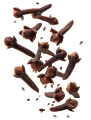 Aromatic Cloves Scattering in Air &mdash; Spice Elements on Transparent Background

