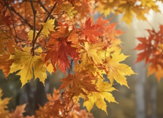 Close-up of maple leaves with blurred background, showcasing fall colors,  yellow,  japanese maple leaf,  photography
