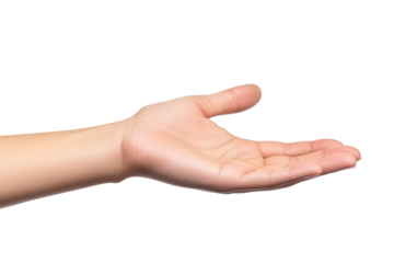 Open Hand Facing Upward on Transparent Background