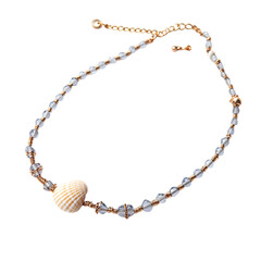 Elegant Anklet with a Refined Chain of Tiny Isolated on Transparent Background