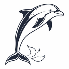 dolphin vector illustration