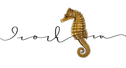 Seahorse Illustration with decorative text