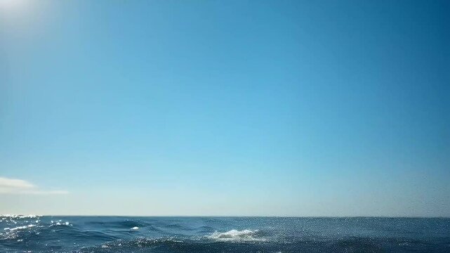 blue marlin fish jumping in the ocean seamless looping video