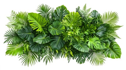 Lush tropical foliage arrangement against a white background.