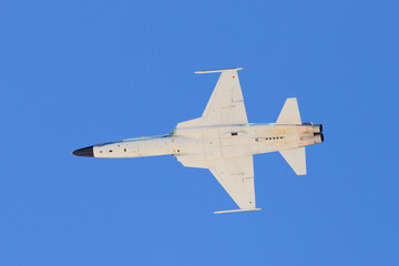 bottom view  of a F-5E Tiger II in the aggressor color scheme