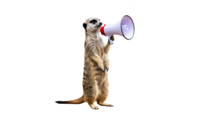 Meerkat Announcing with Megaphone on White