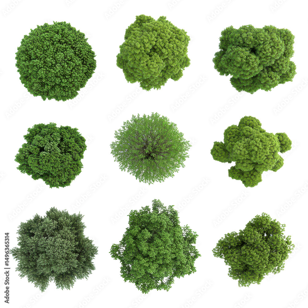 Fototapete aerial tree views set for landscape architecture and urban planning design top down isolated on blac