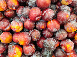 An abundance of fresh and juicy red plums, arranged in a beautiful composition