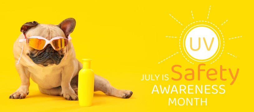 Banner for Ultraviolet Safety Awareness Month with funny dog and sunscreen cream